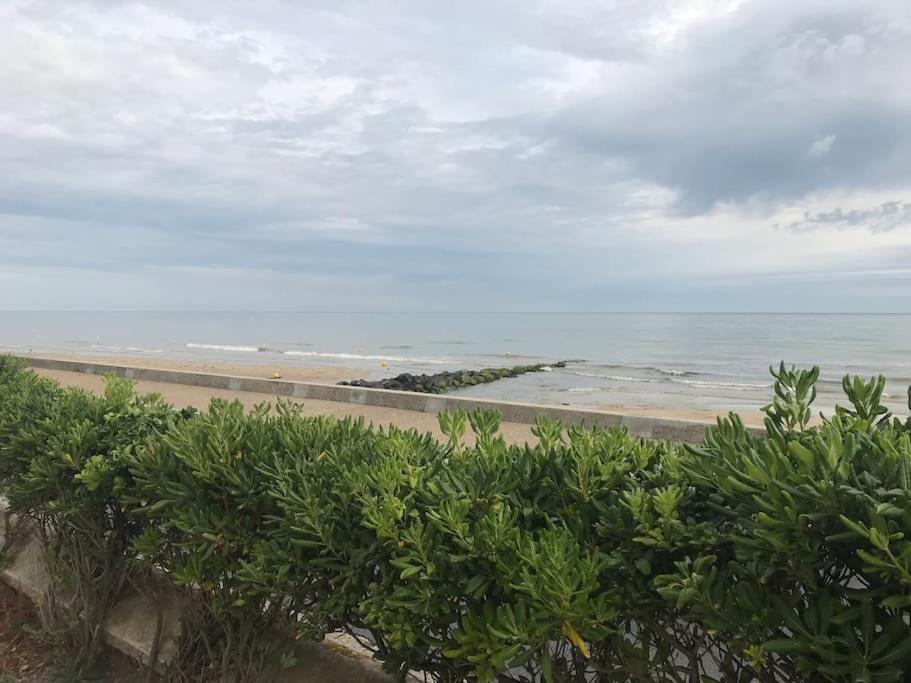 Vue Exceptionnelle En Front De Mer, 8 Personnes Ver-sur-Mer エクステリア 写真